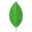 MongoDB logo